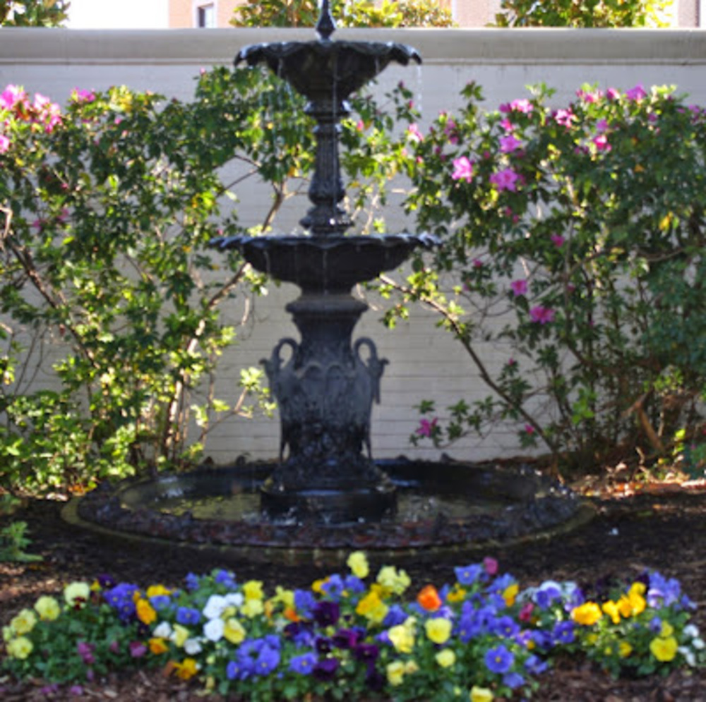 Meet your Posher, Isabella